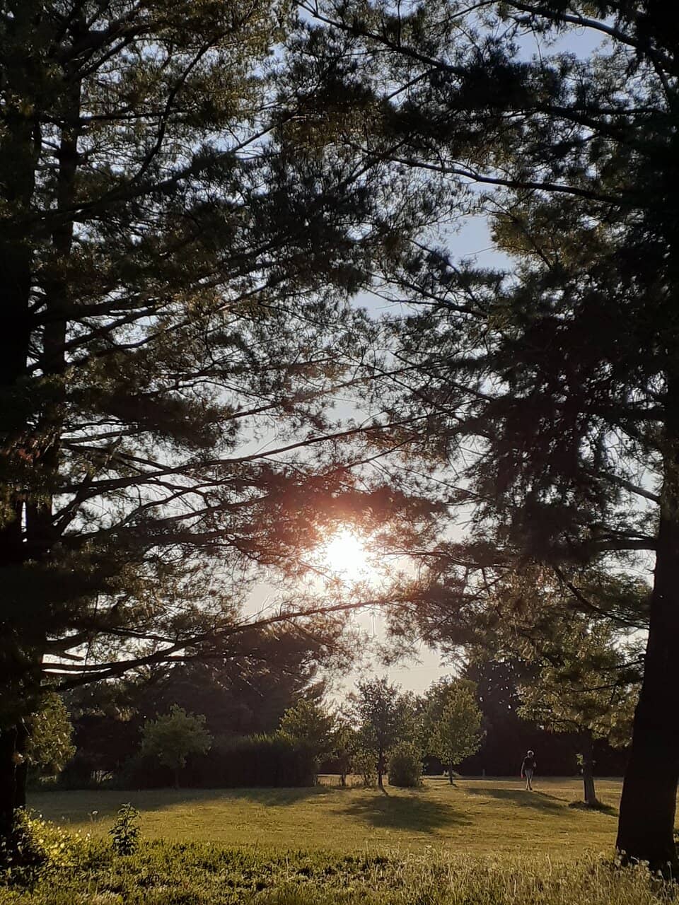 Vertical photo