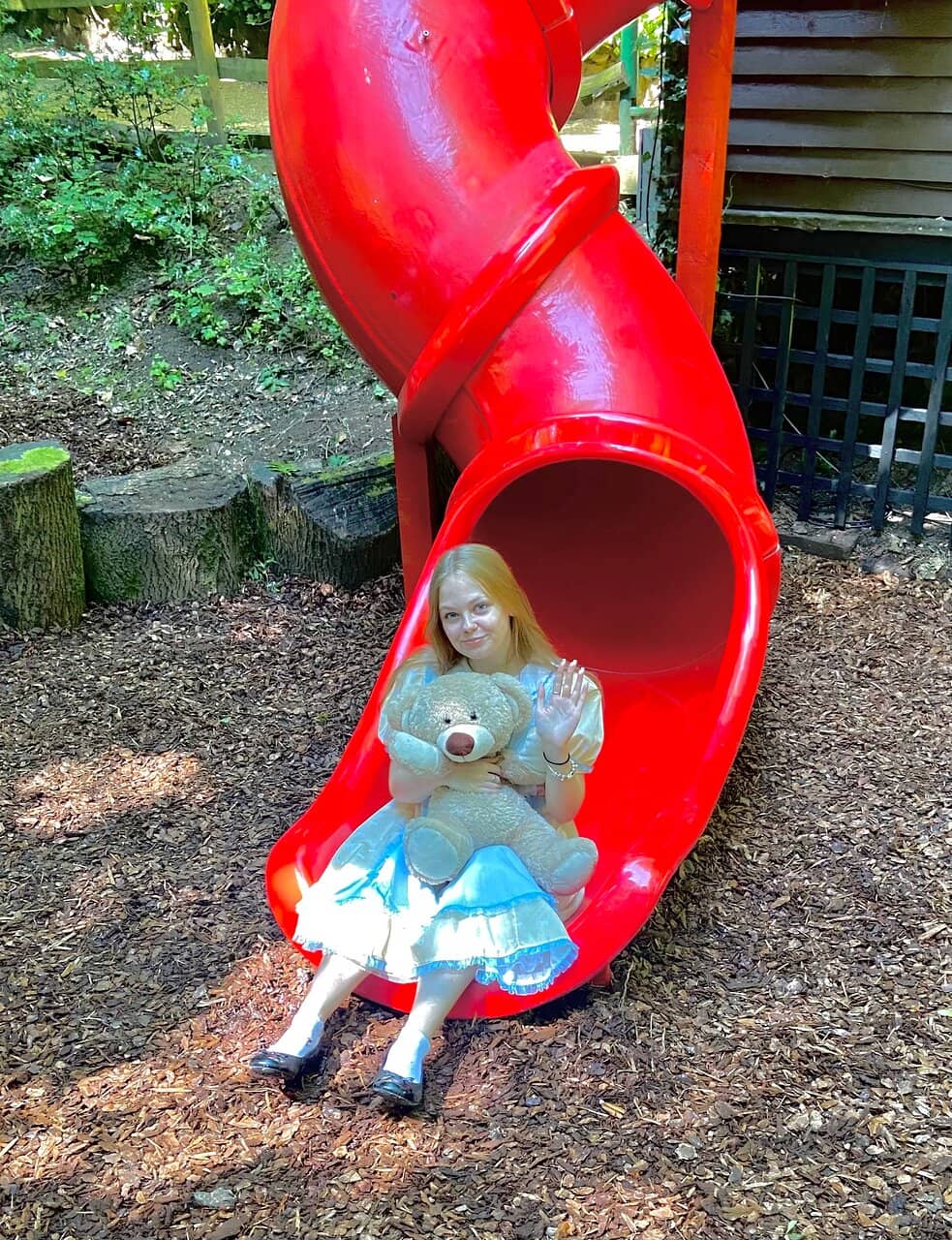 Alice in Wonderland Maze