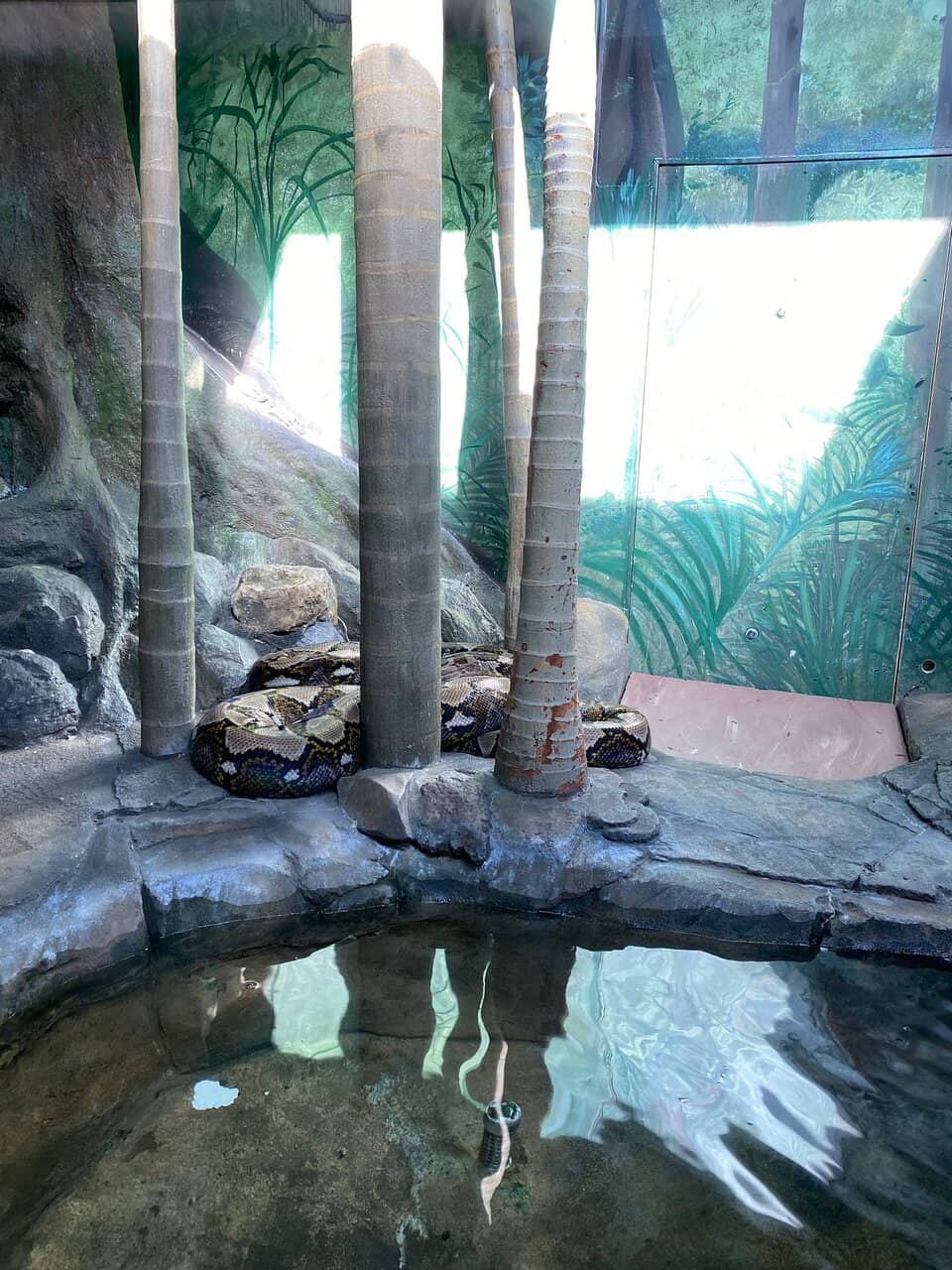 Vertical photo
