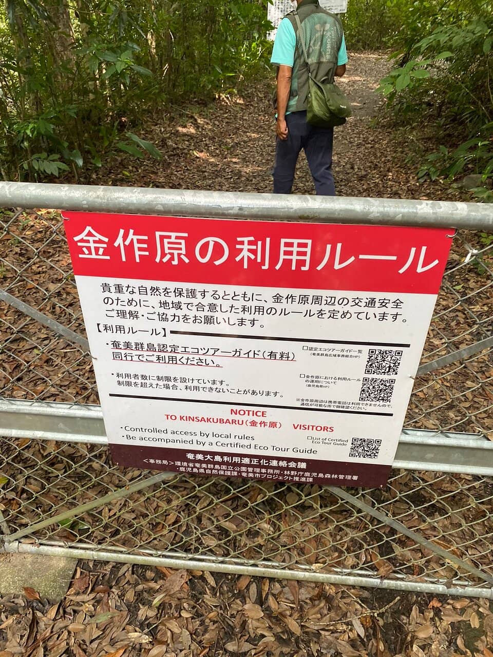 Okinawan White Oak