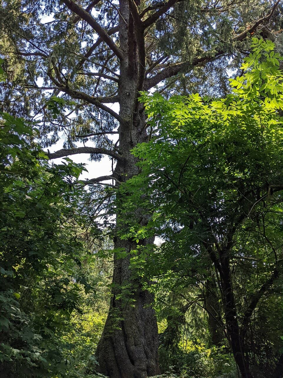 Nature Trails