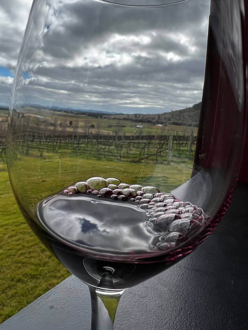 Vineyard Views