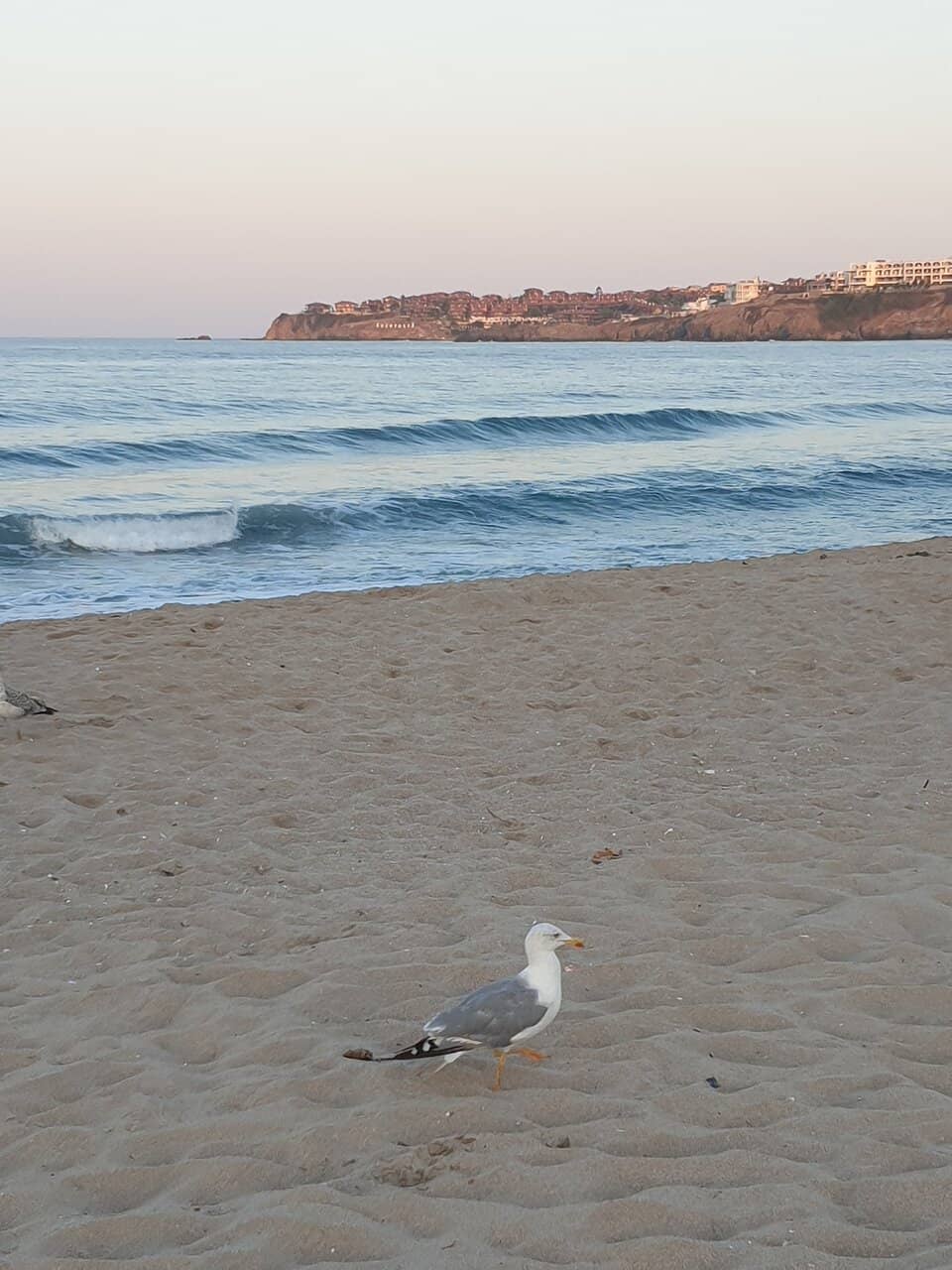 Vibrant Beachfront Dining