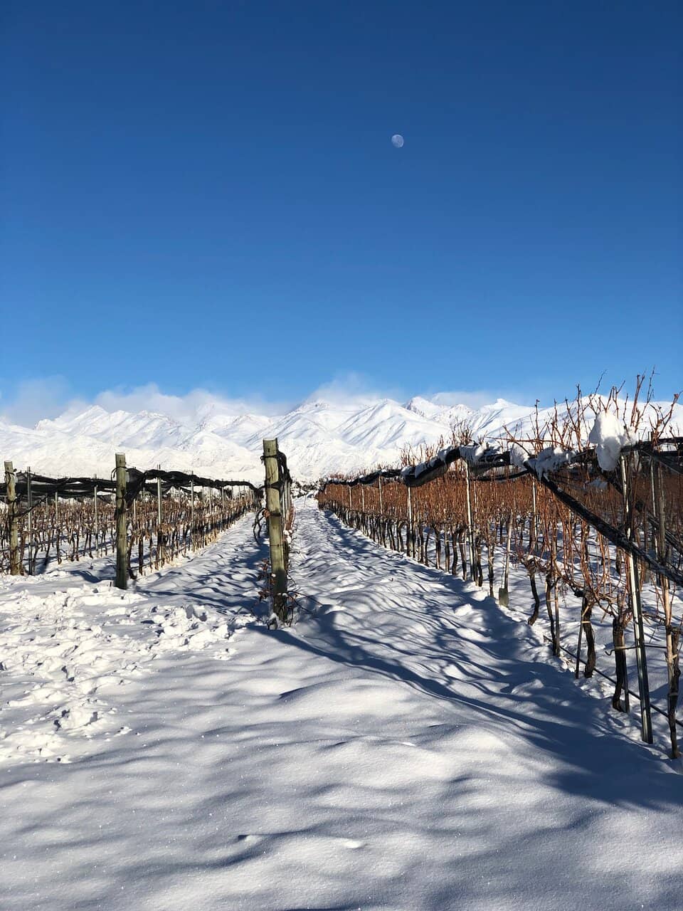 Modern Tasting Room & Views