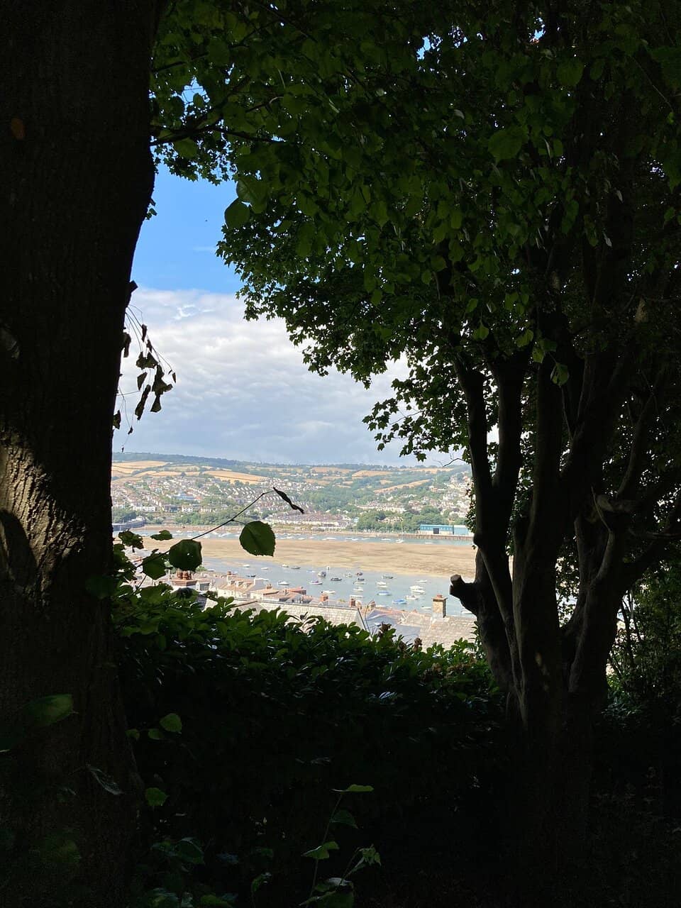 Diverse Tree Specimens