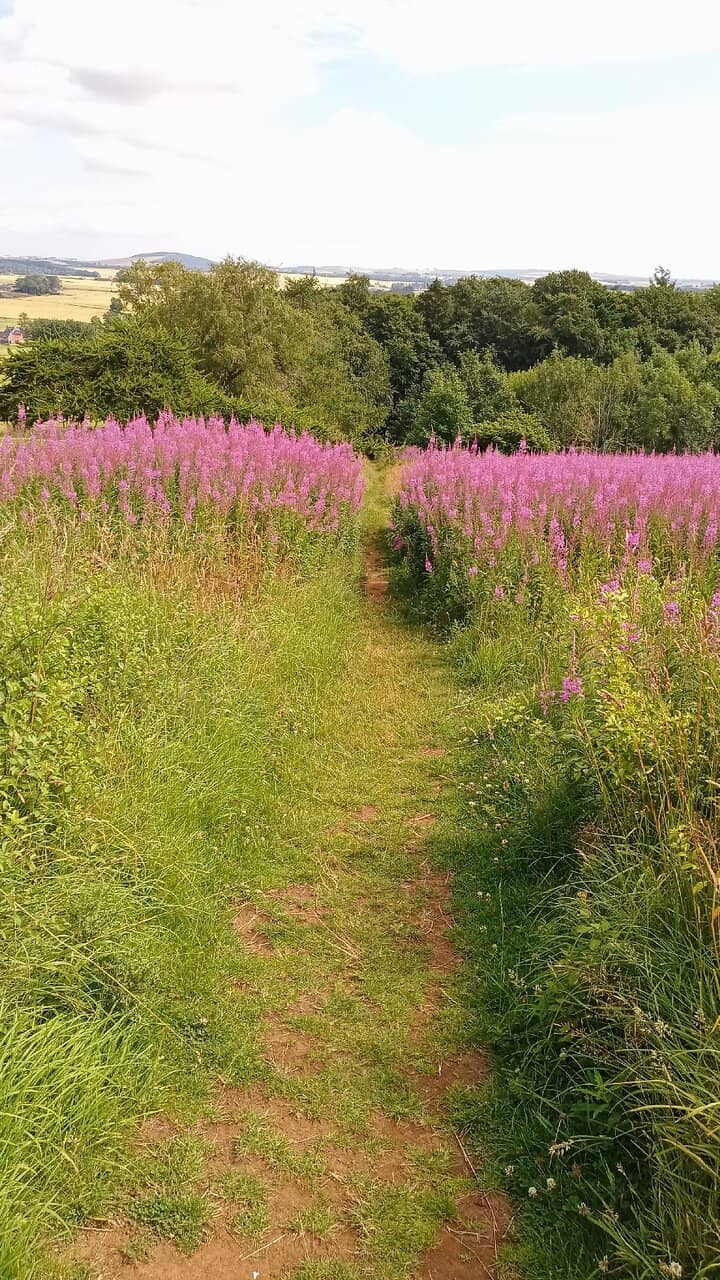 Panoramic Countryside Views