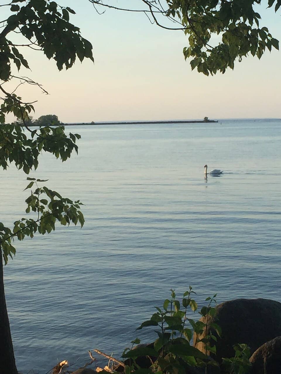 Waterfront Trails & Boardwalk
