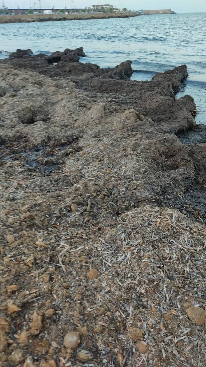Harbor Walk
