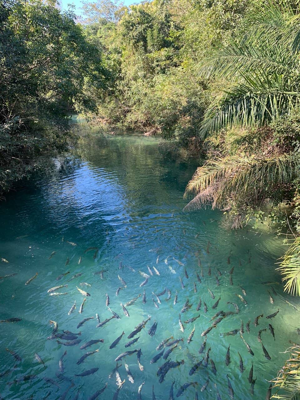 Private River Access