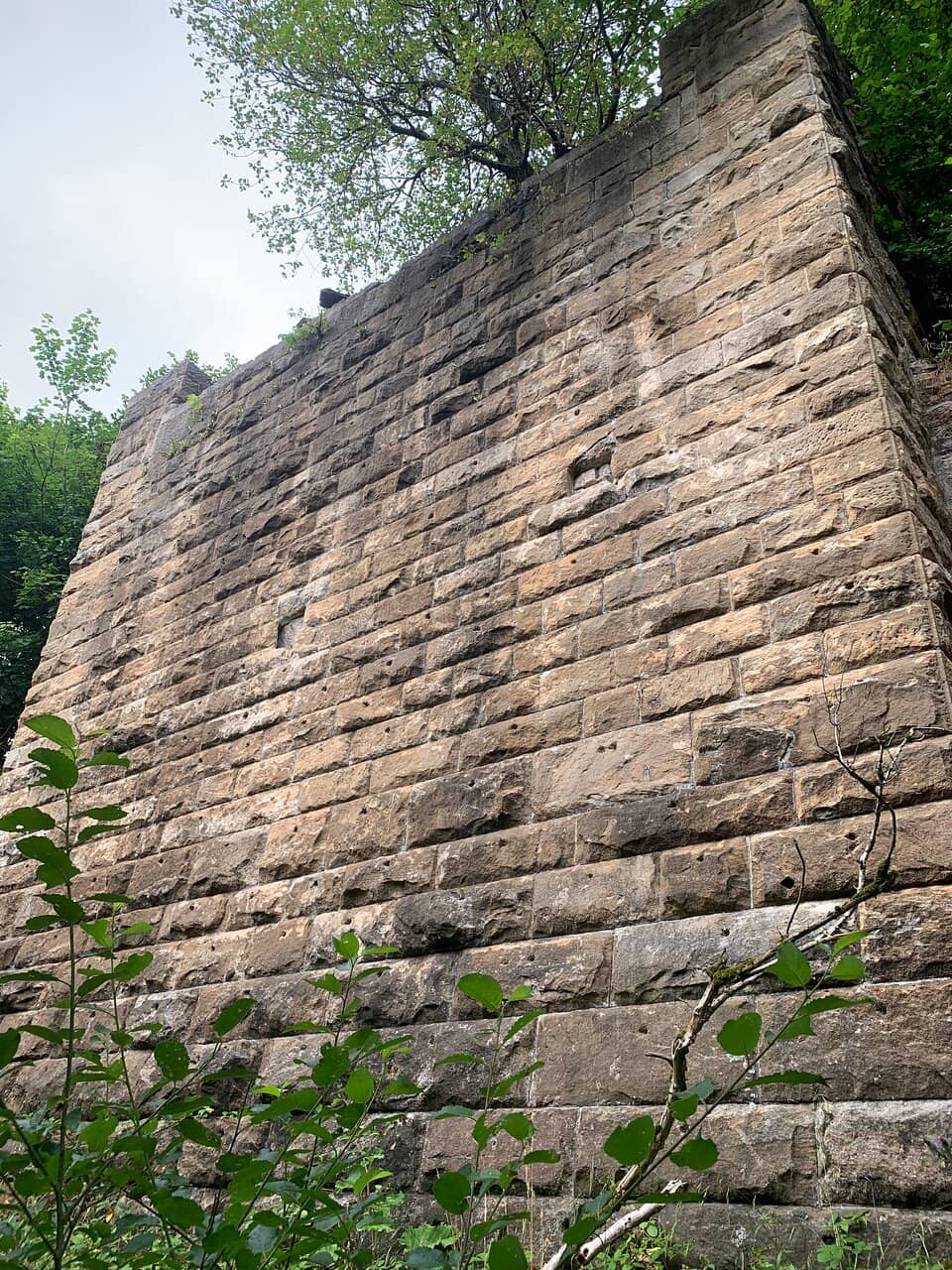Vertical photo