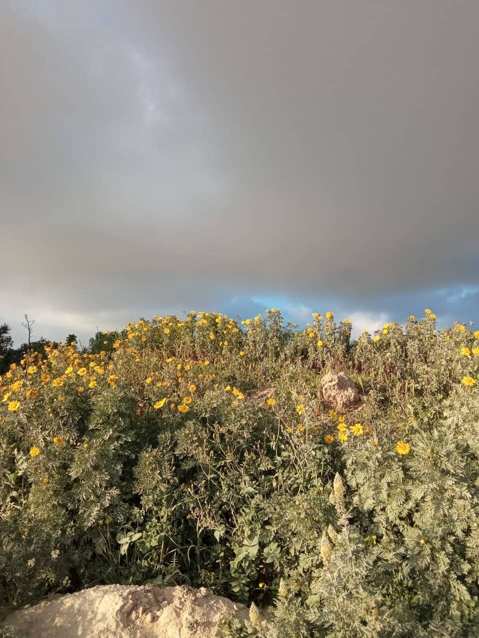 Coastal Trails & Panoramic Views