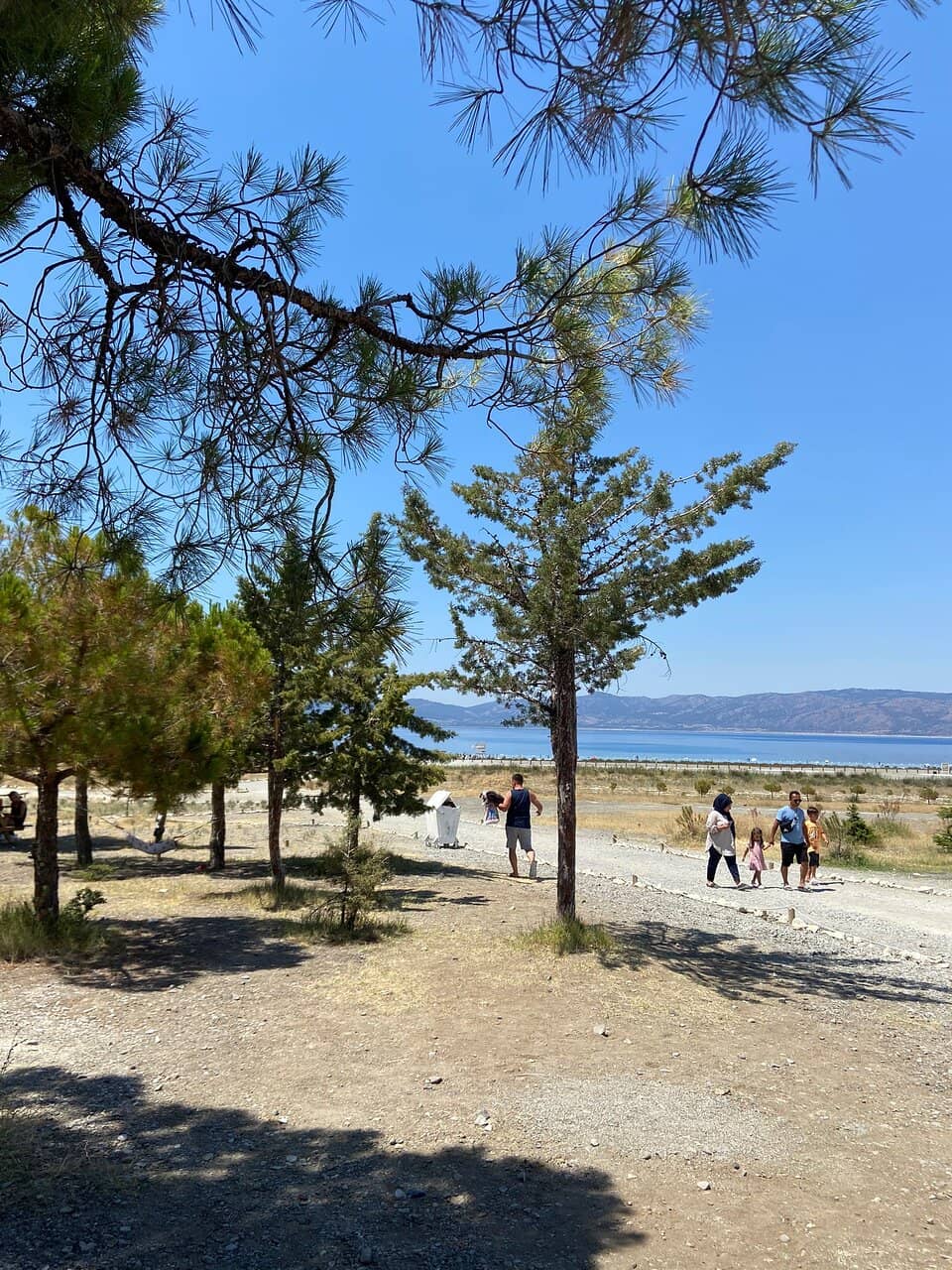 Photographer's Paradise