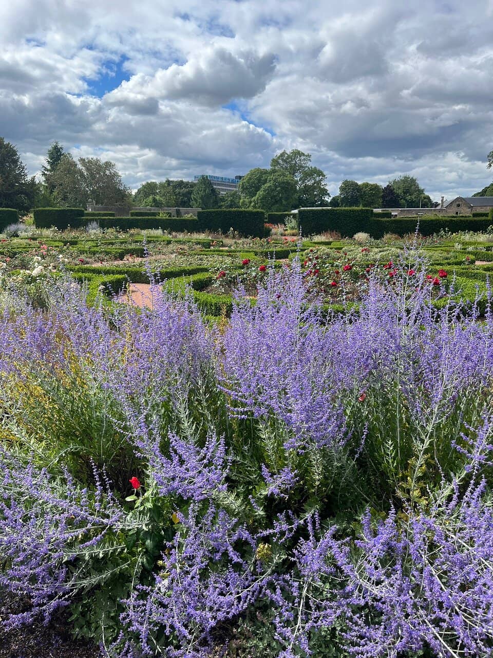 Winter Garden