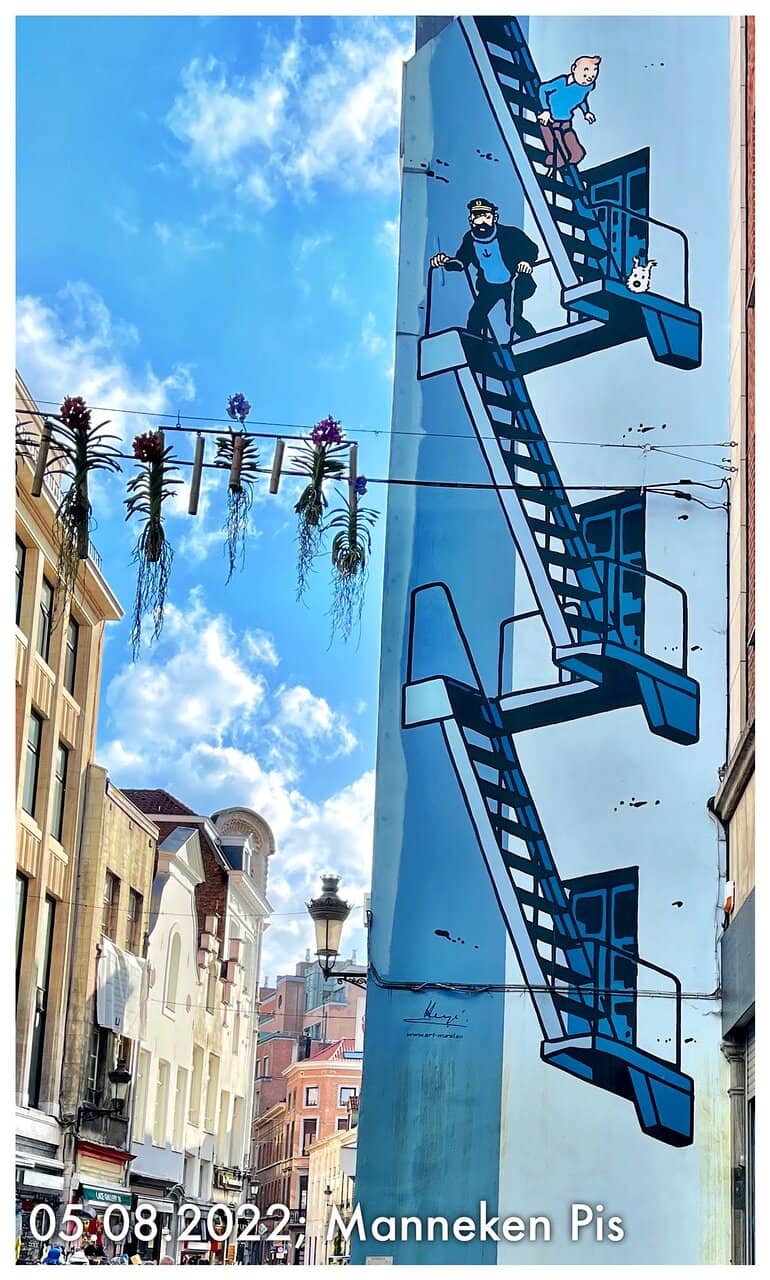Vertical photo