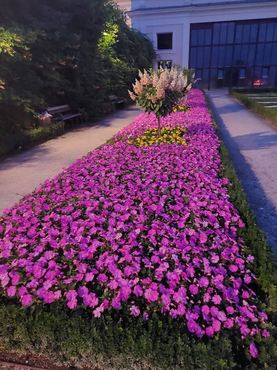 Dwarf Garden