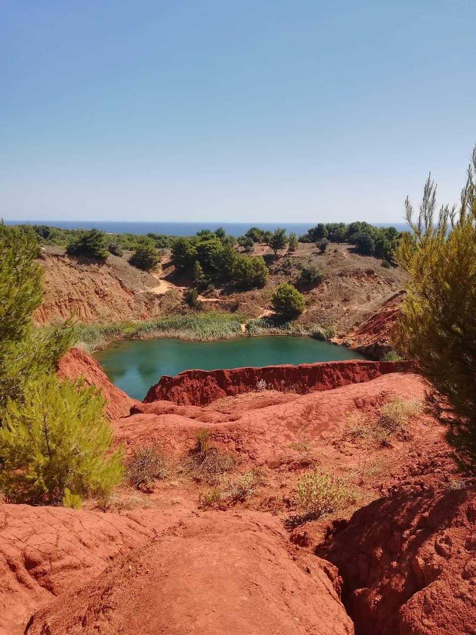 Knowledgeable & Humorous Guide