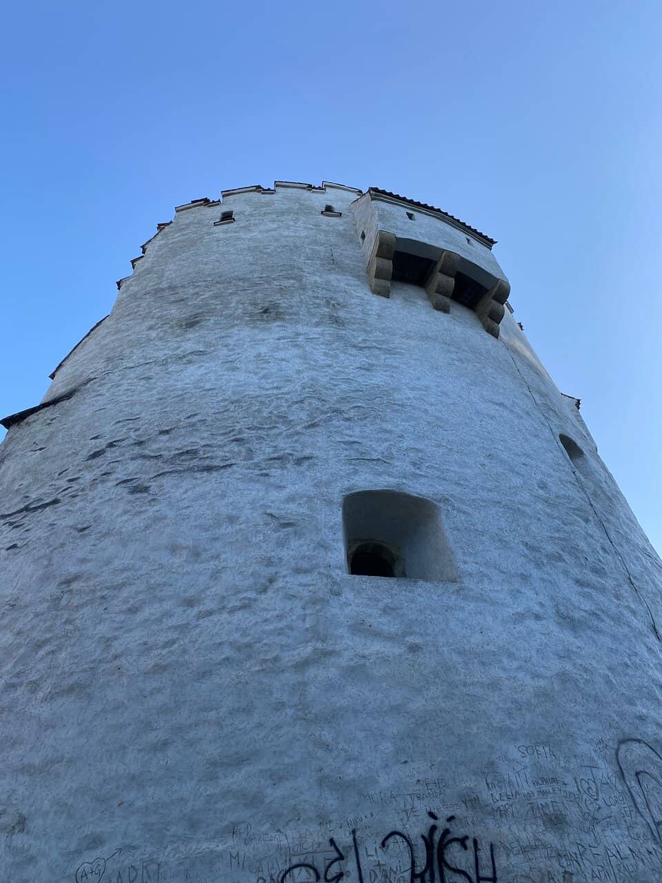 Vertical photo