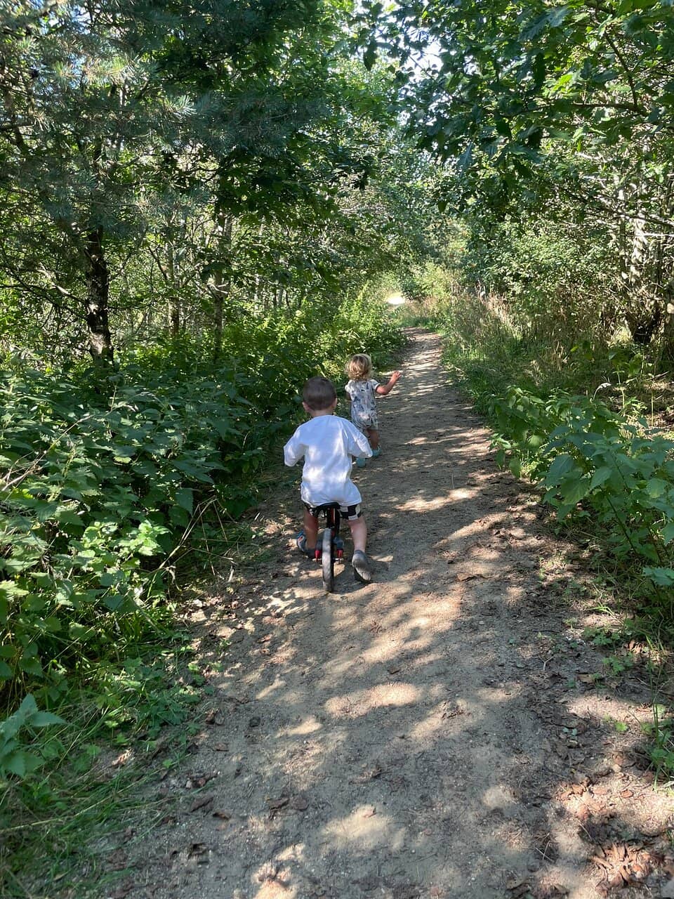 Reservoir Circular Walk