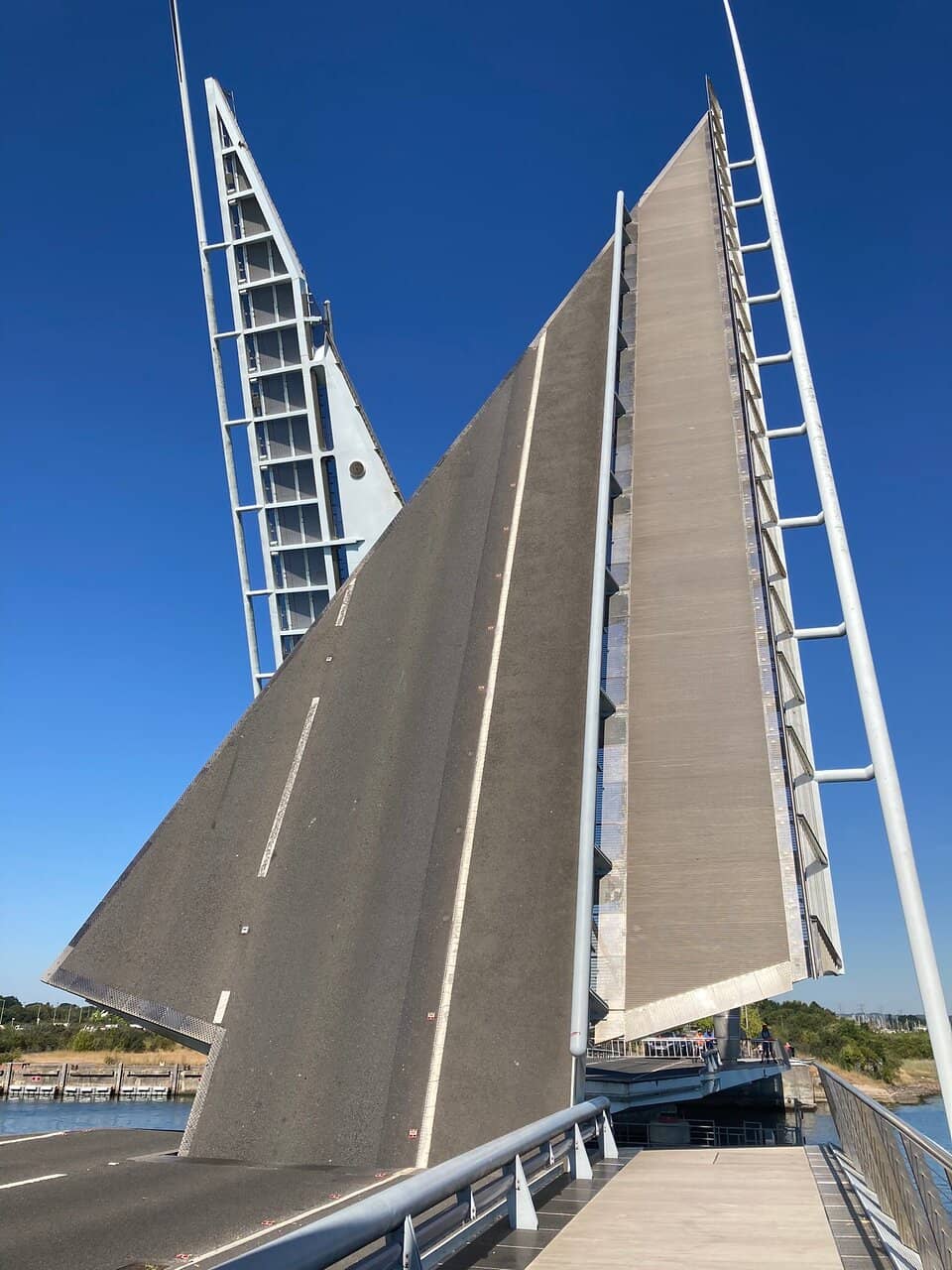 Vertical photo
