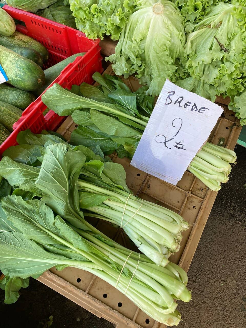 Seasonal Delights