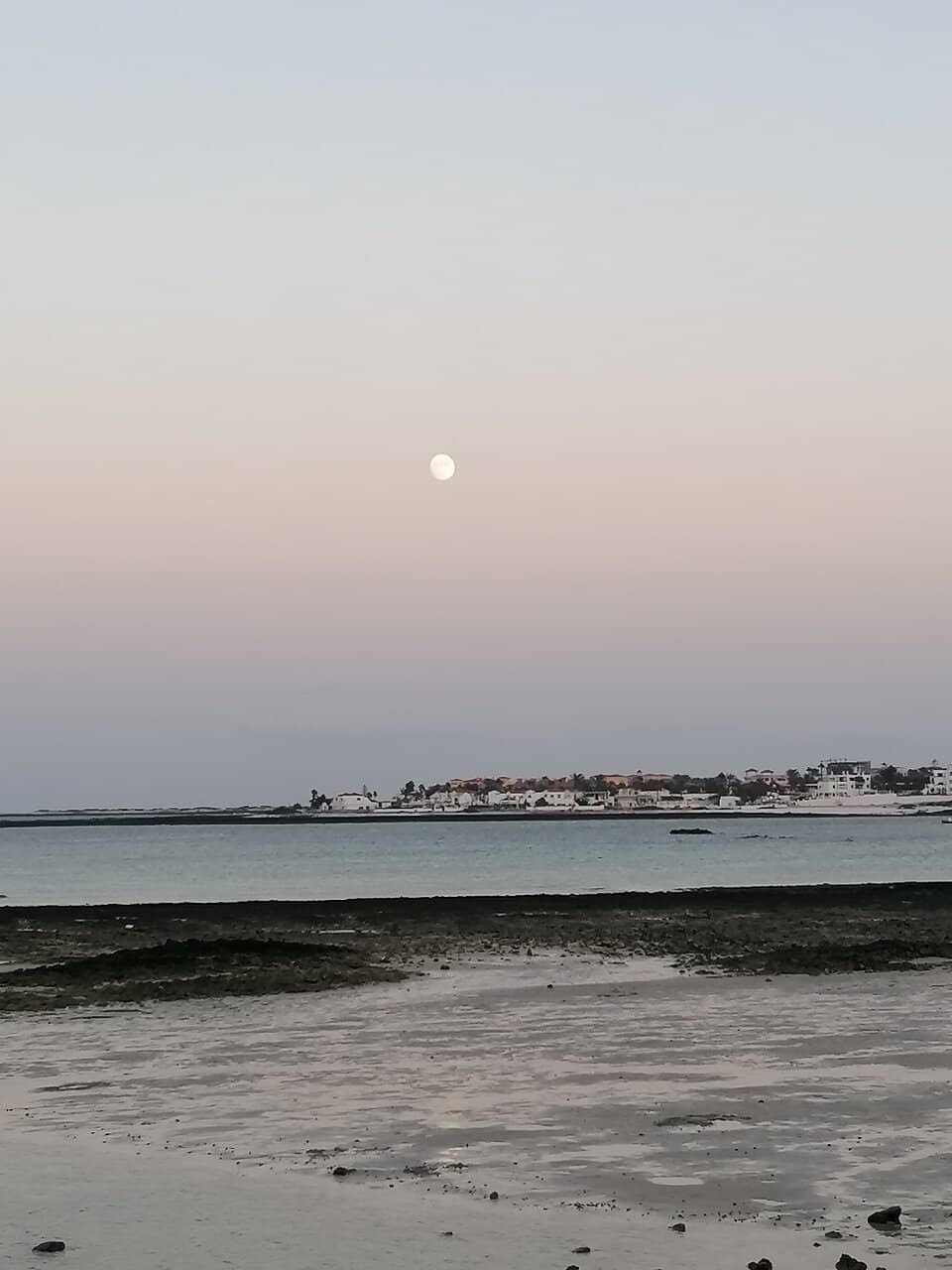 Restaurant Row Views