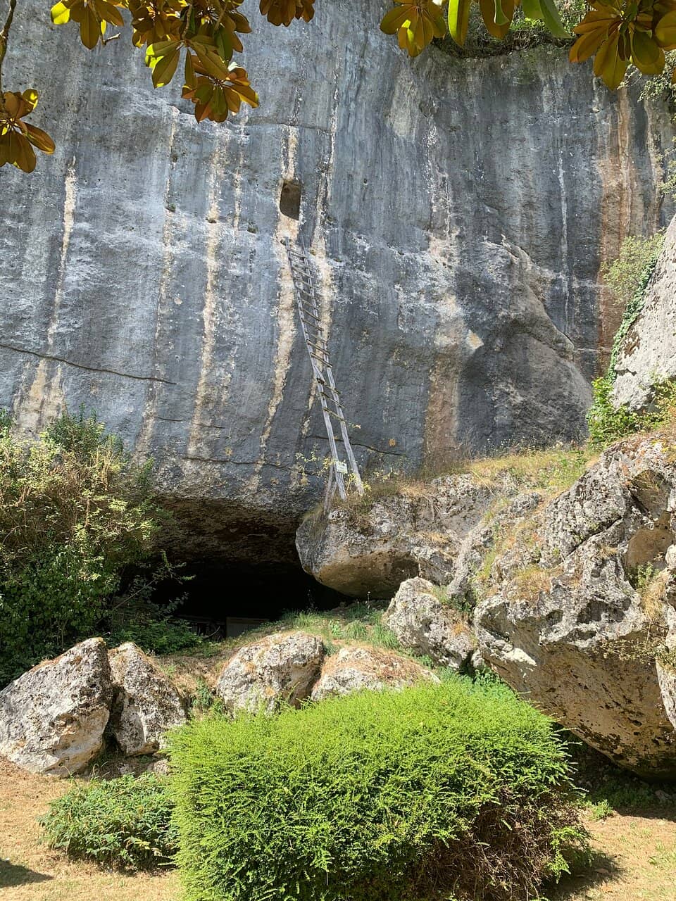 Interactive Tablet Activities