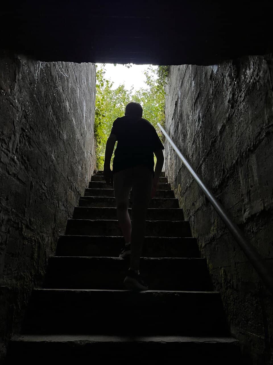 Panoramic Coastal Views