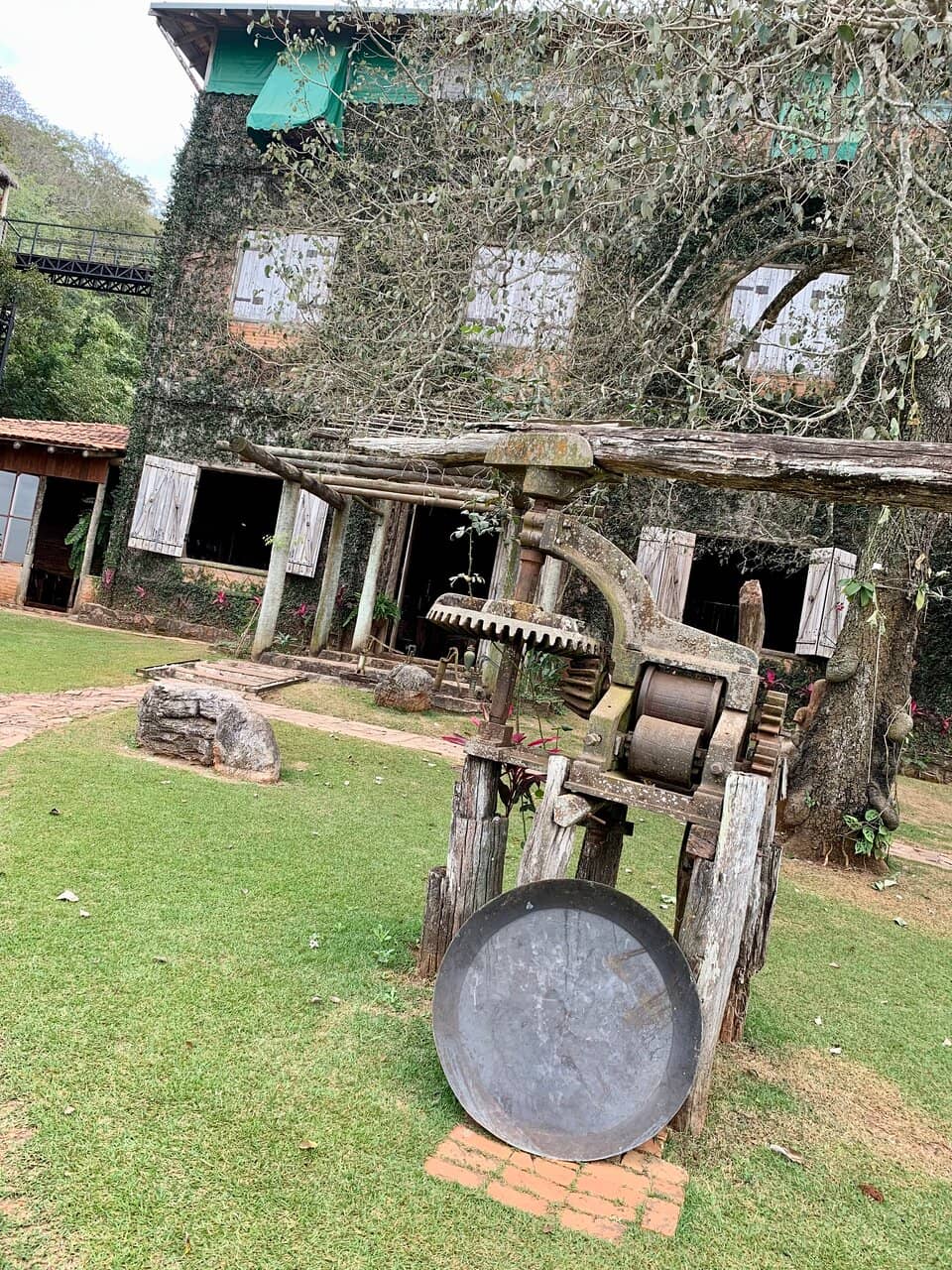 Quirky Local Museum