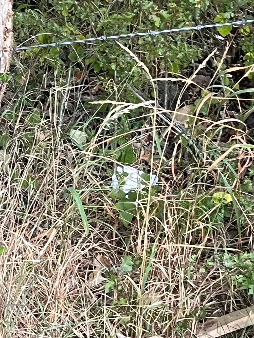 Stand-Up Paddleboarding (SUP)