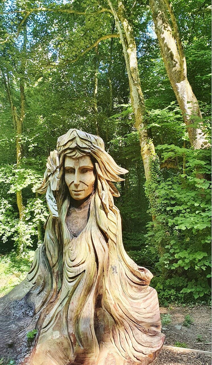 Birdwatching Opportunities