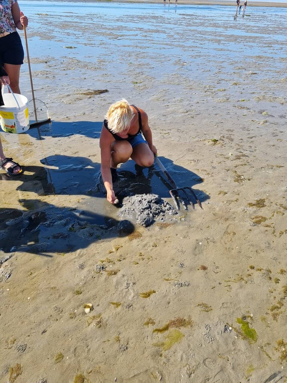Lighthouse and Beach Views