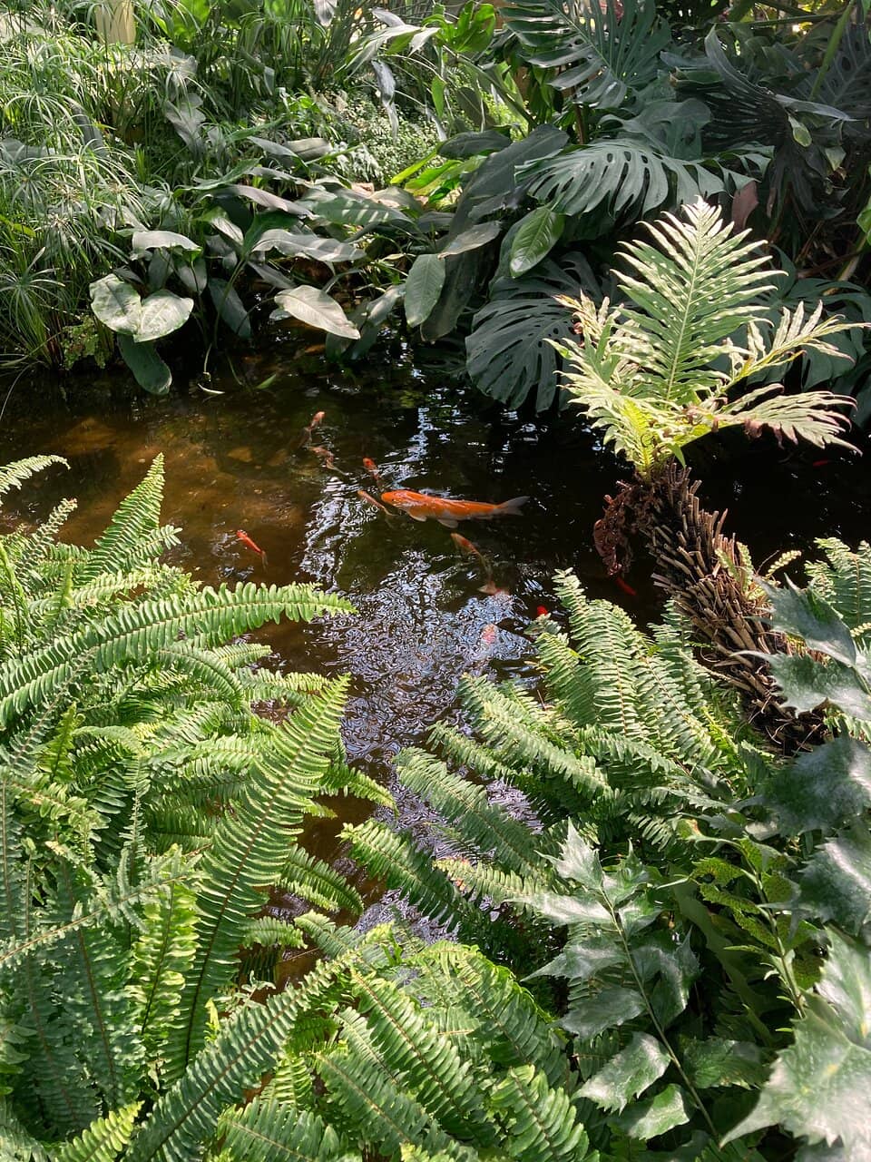 Expansive Gardens