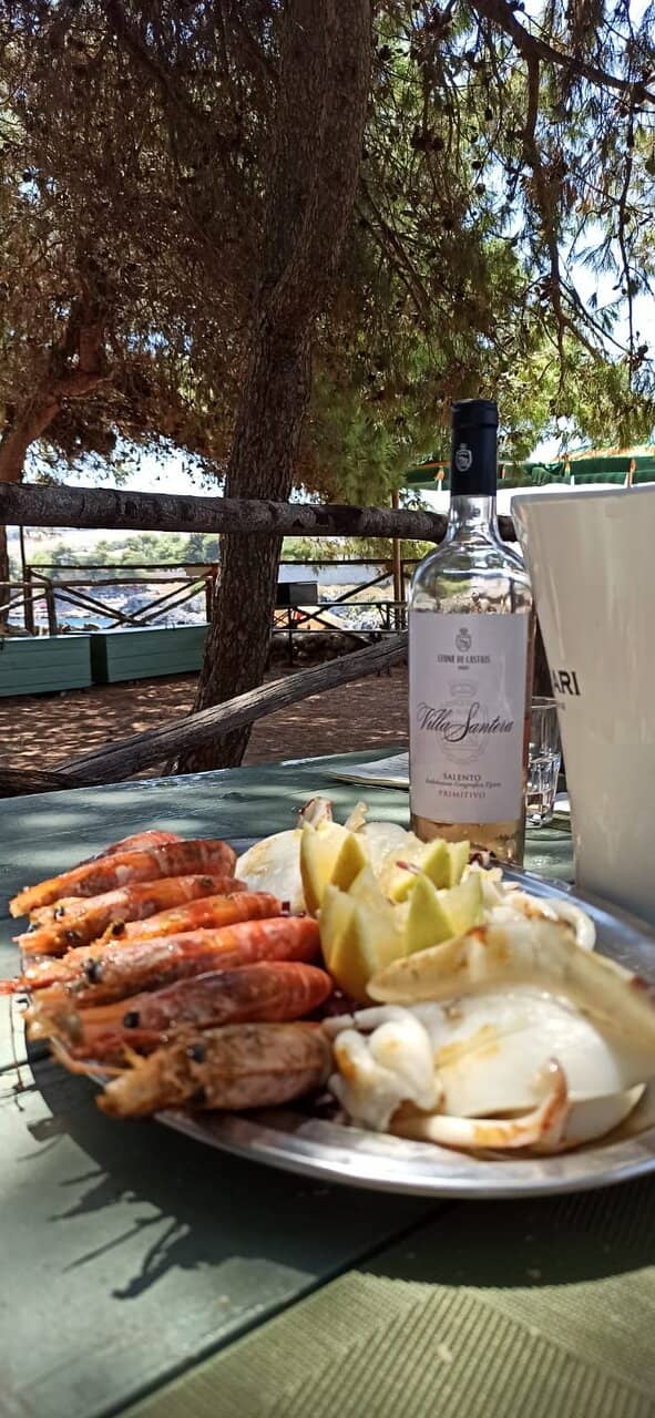 Panoramic Coastal Views