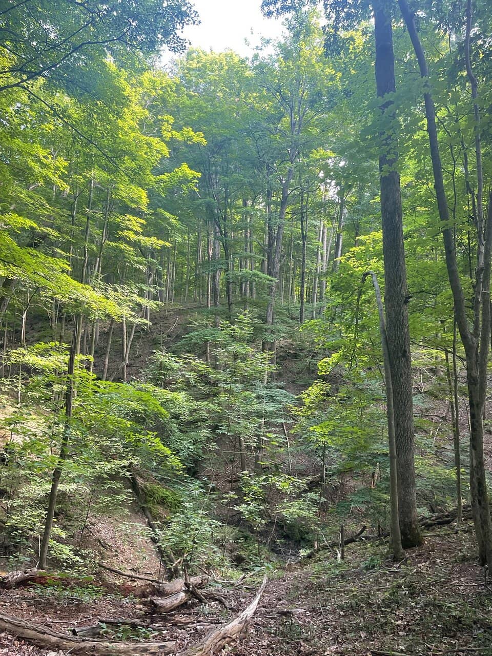 Camping Serenity