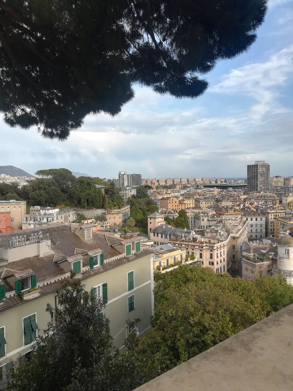 Vertical photo