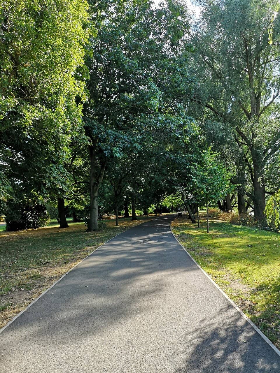 Party in the Park Events