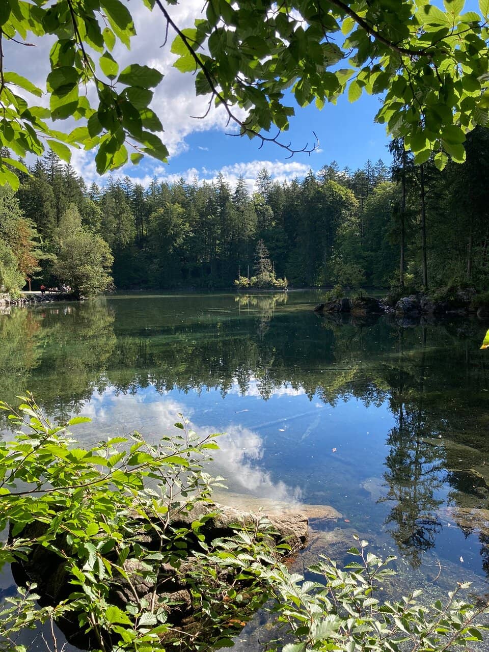 Peaceful Lakeside Stroll