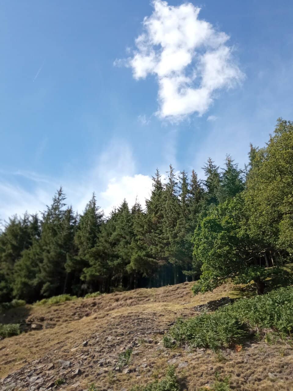 Moorland Views