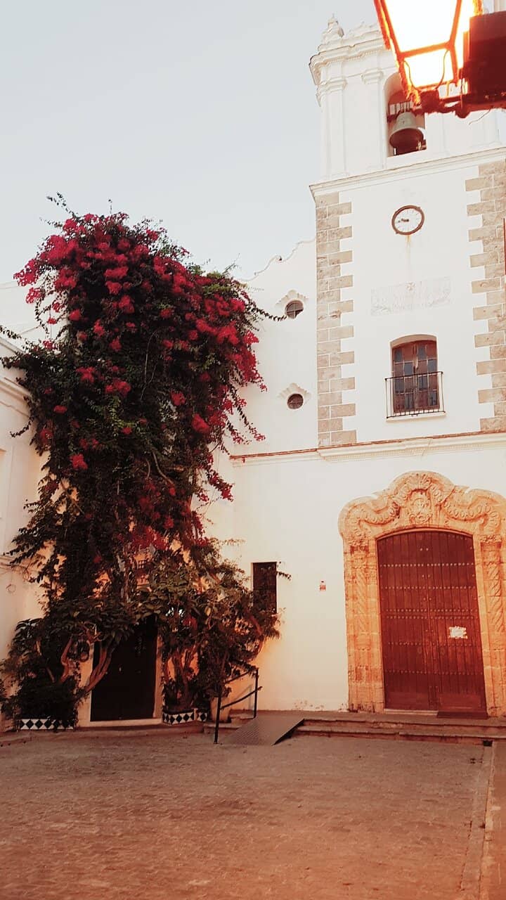 Vertical photo