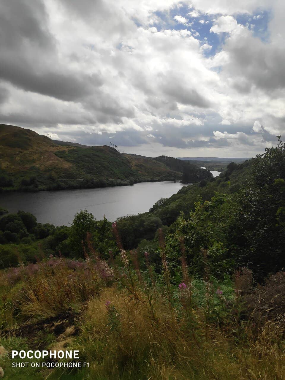 Loch Trool Views