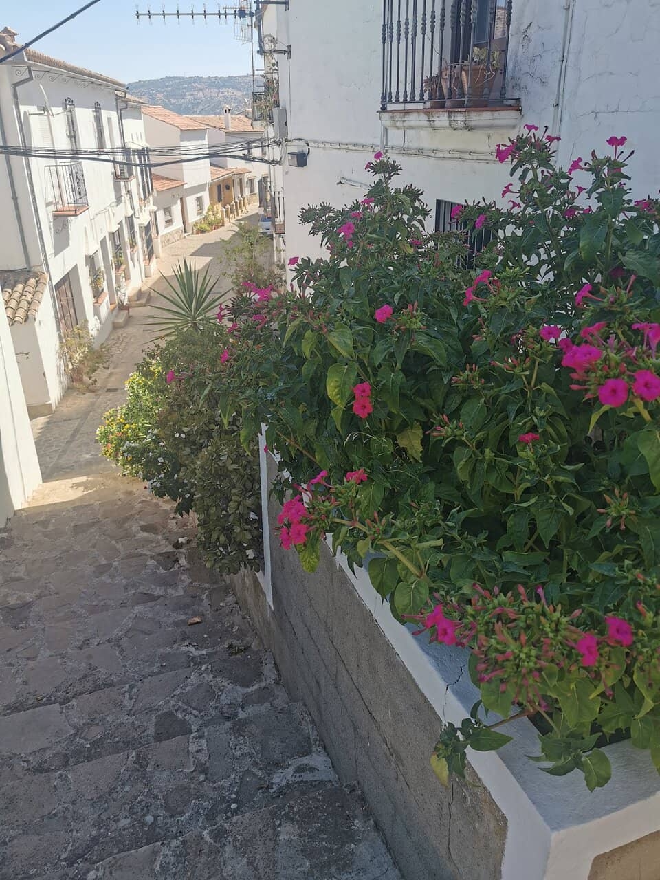 Arroyo de los Bocaleones