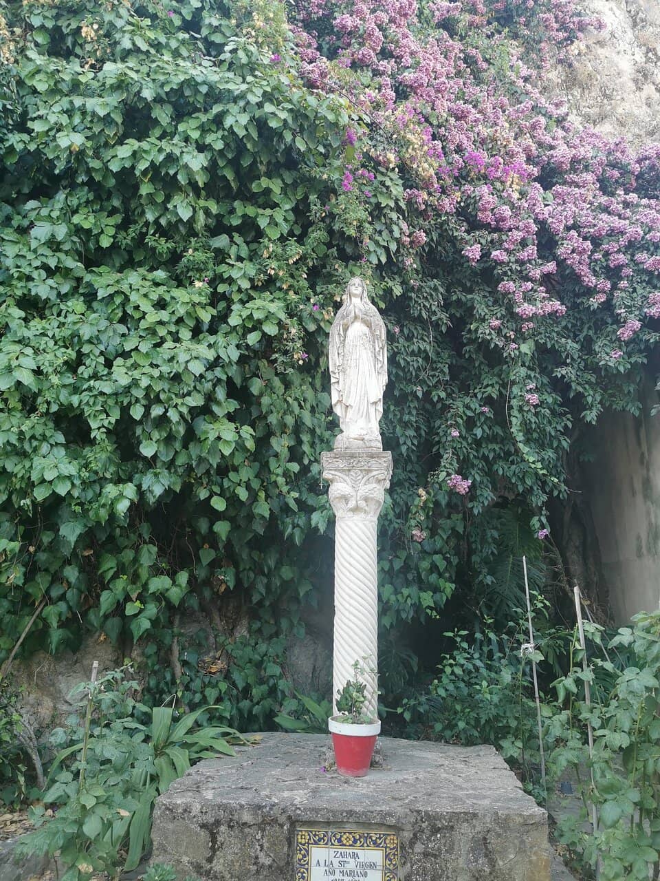 Vertical photo