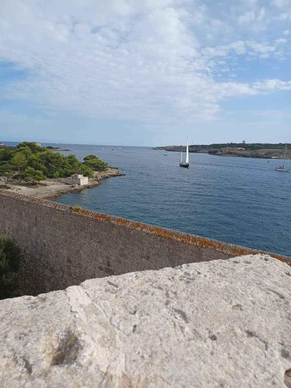 Volunteer Restoration Efforts