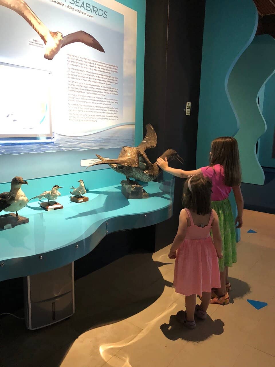 Interactive Ocean Zone