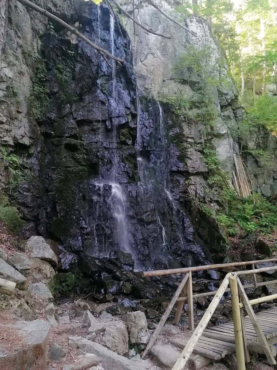 Vertical photo