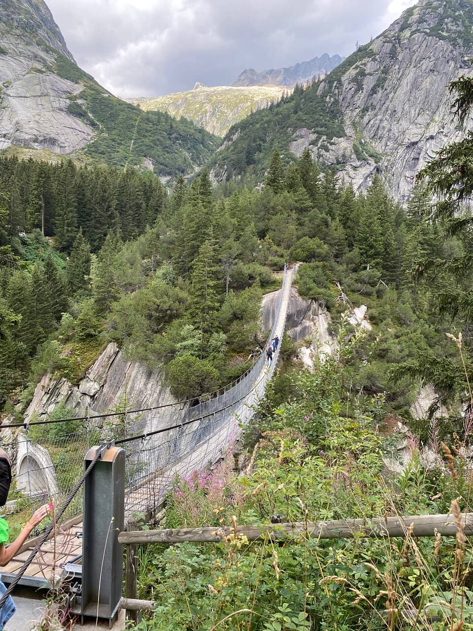 Vertical photo