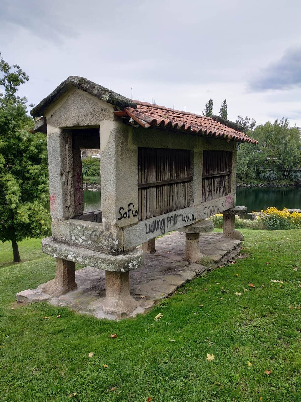 Free Public Swimming Pool