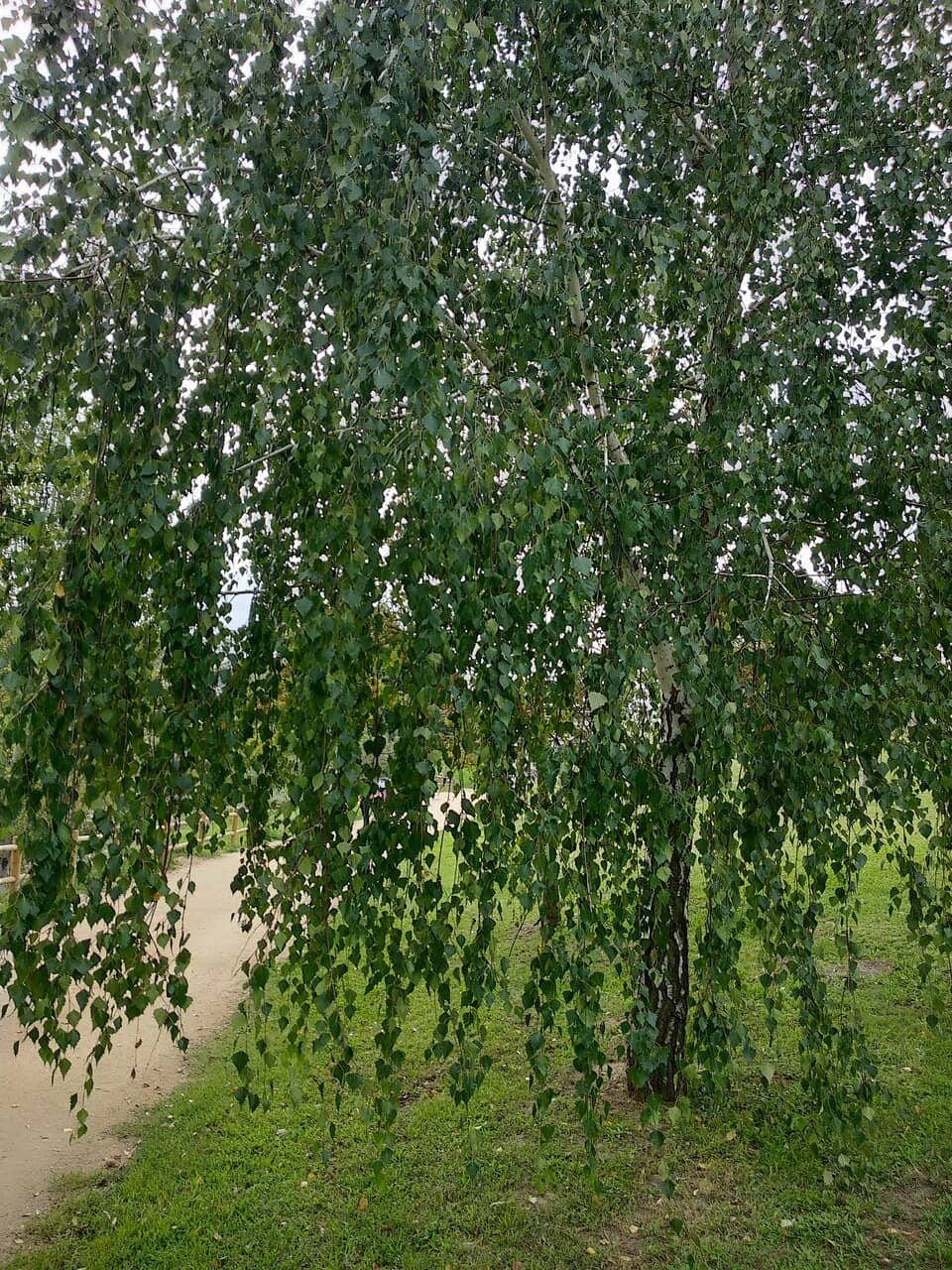 The Tinteiro Fountain