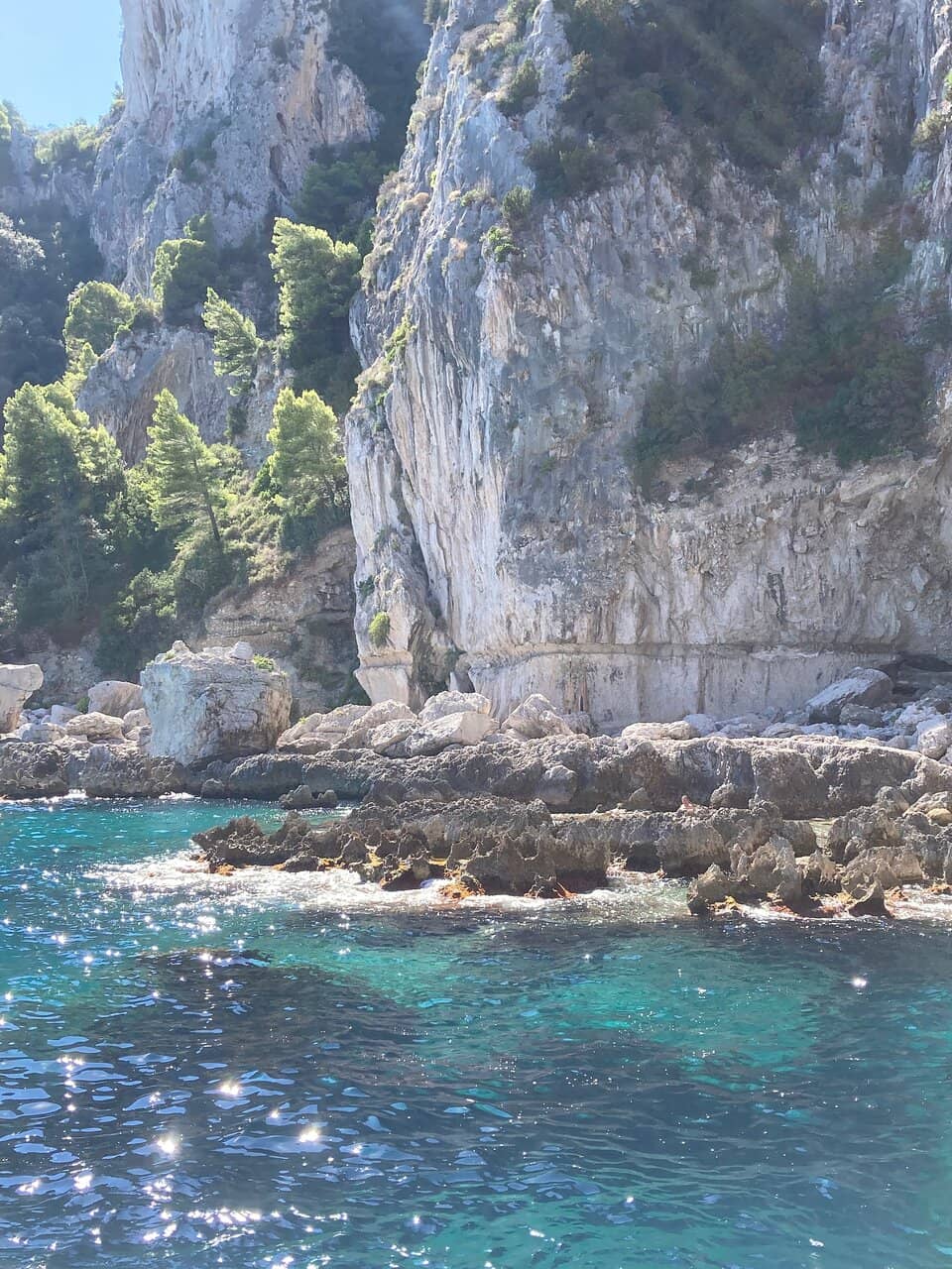 Vertical photo