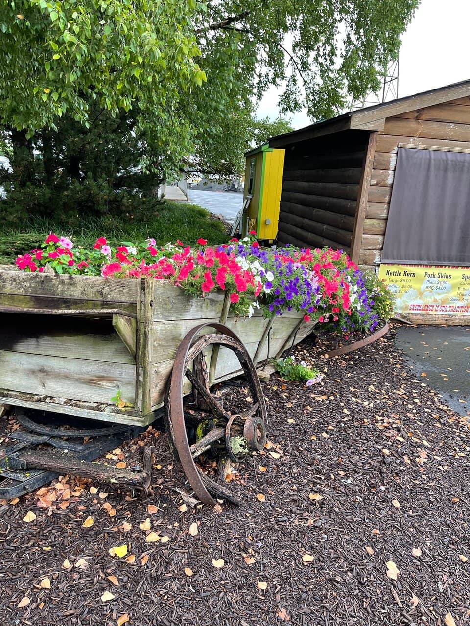 Kitchenwares & Specialty Stores